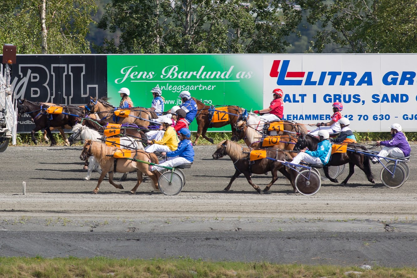 Gulrotmidlene kommer blant annet rekrutteringsarbeid til gode. Foto: hesteguiden.com