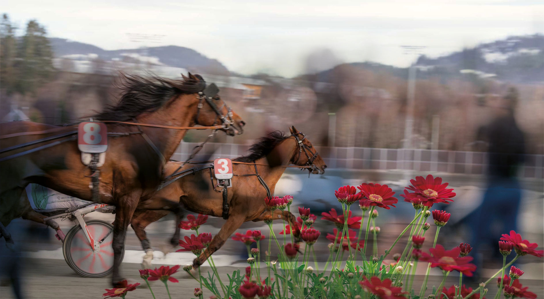 Foto: Varig Orkla Arena