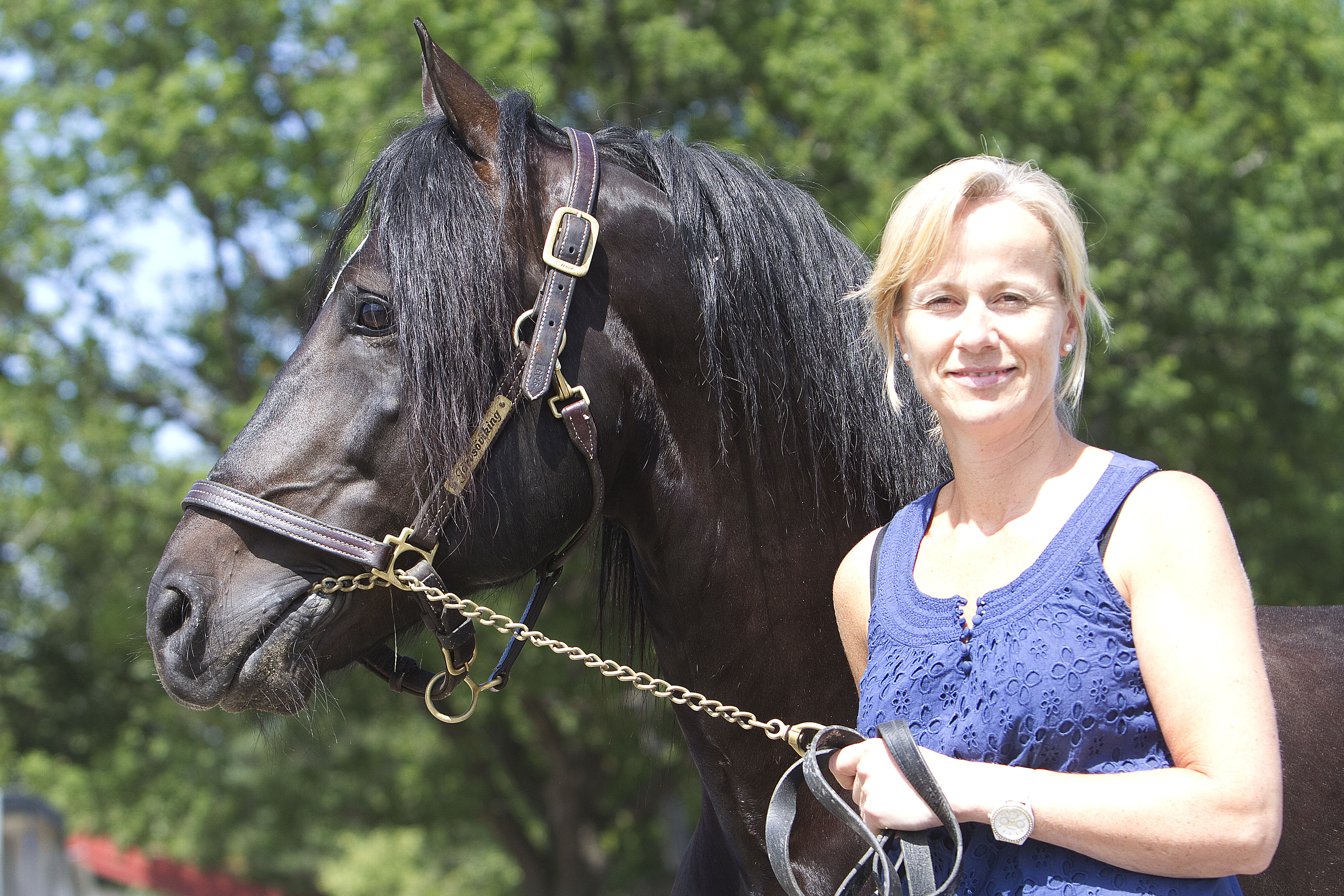 Foto: Hesteguiden.com