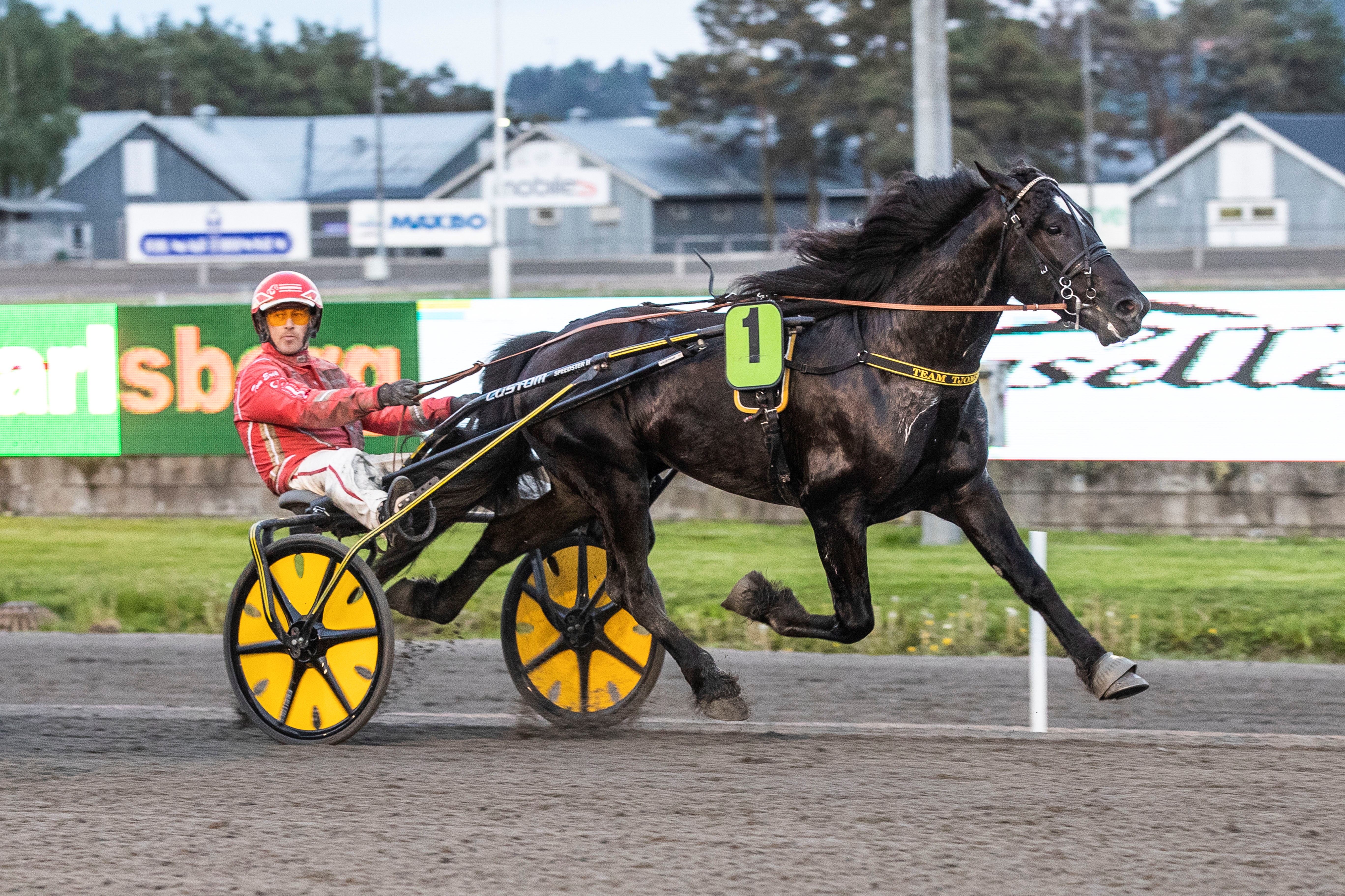 Nelson Rappen debuterte i fin stil i et løp i DNTs Unghestserie på Jarlsberg 31.mai - kan vi få et gjensyn med talentet på Jarlsberg 8.juli ? (Foto. Hesteguiden.com)