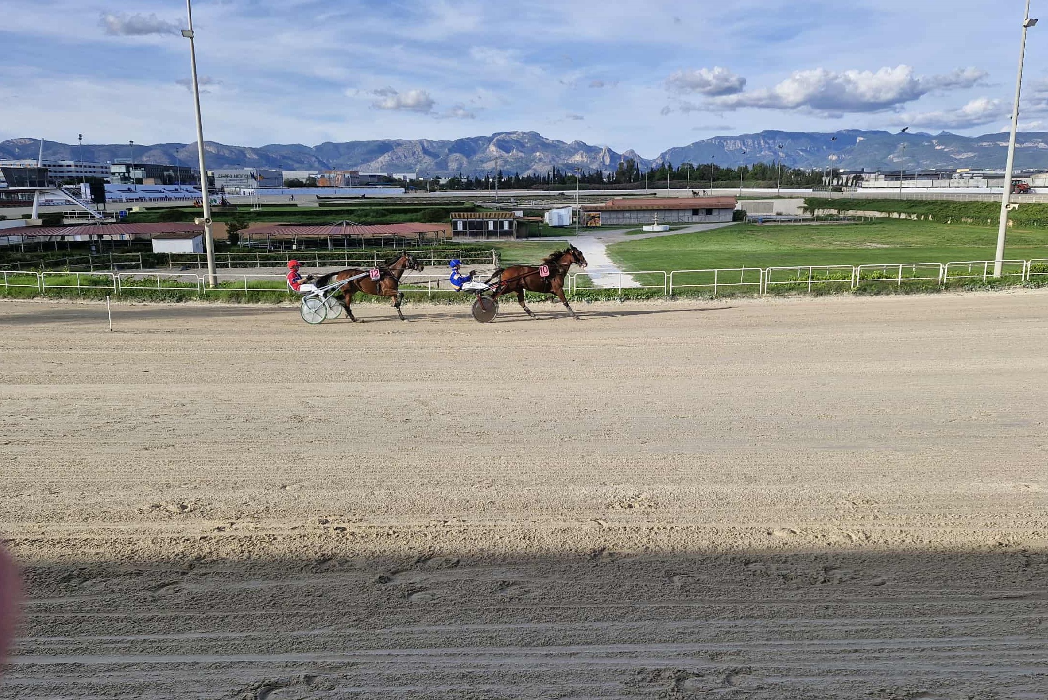 Sundgren Aadland med fjellbakgrunn kopi.jpg