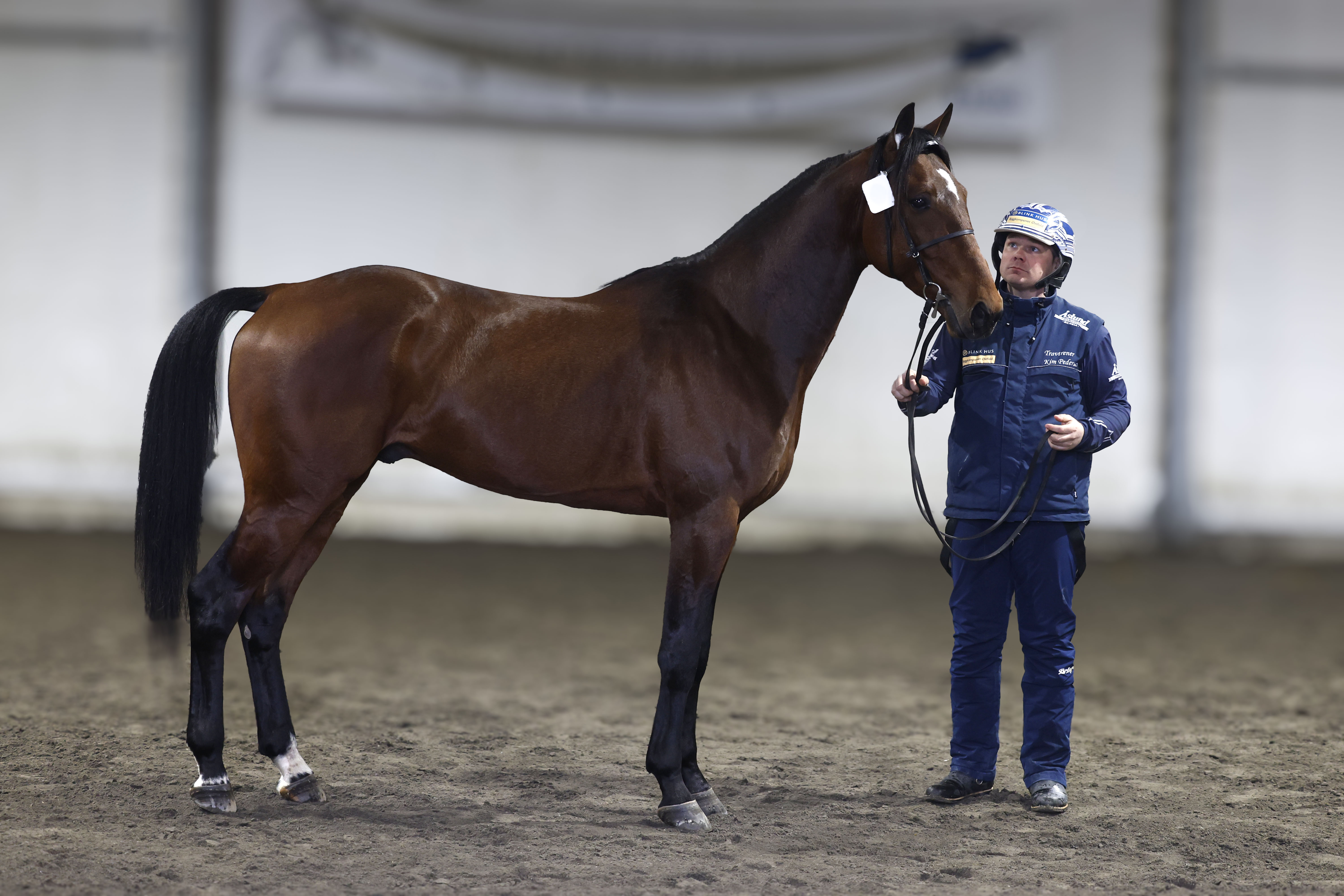 Born In Bergen_I3A7096.JPG