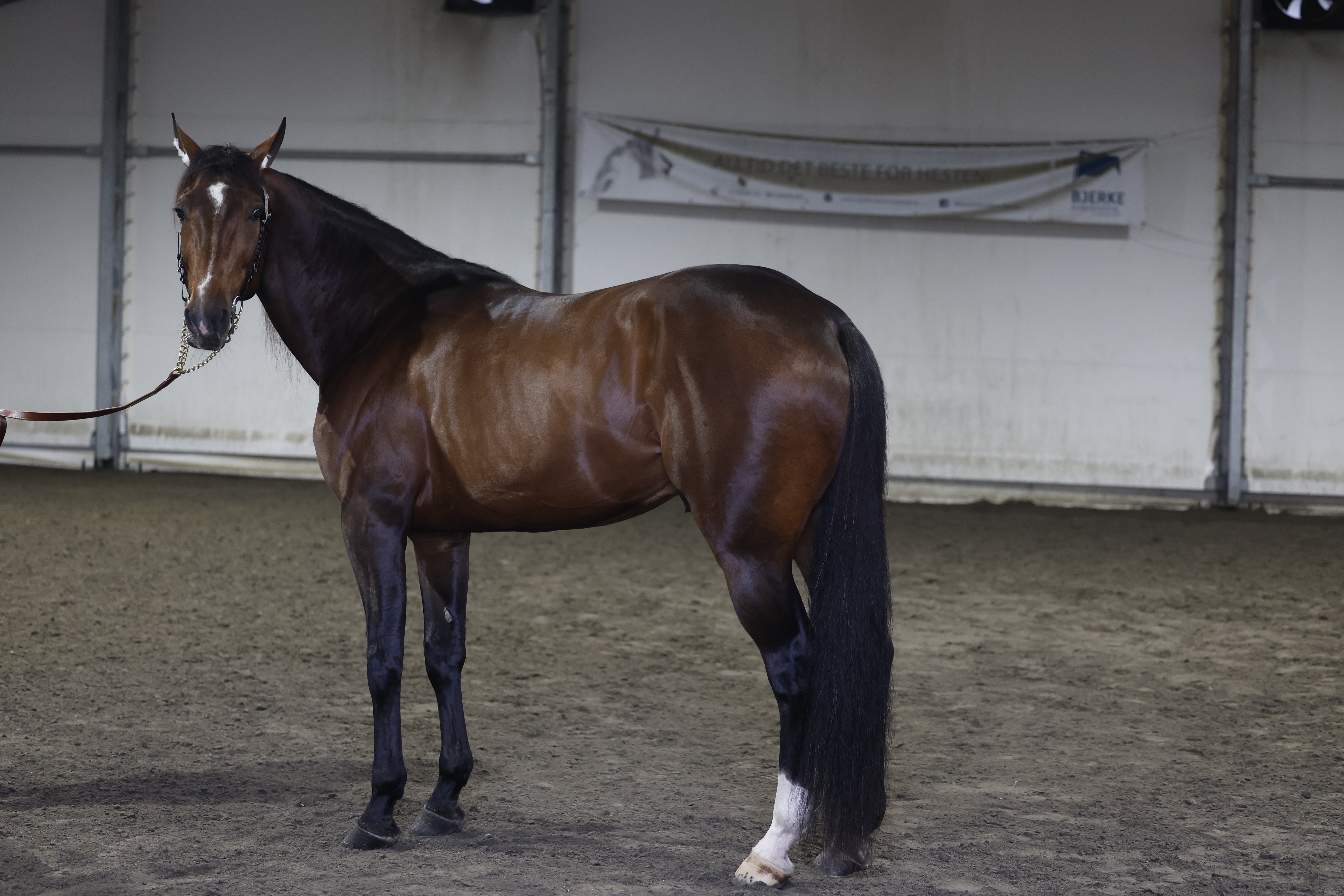 Feydeau Seven_I3A7046.JPG