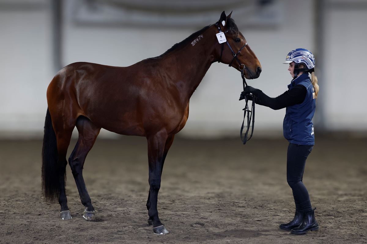 Hell Patrol_I3A7077.JPG