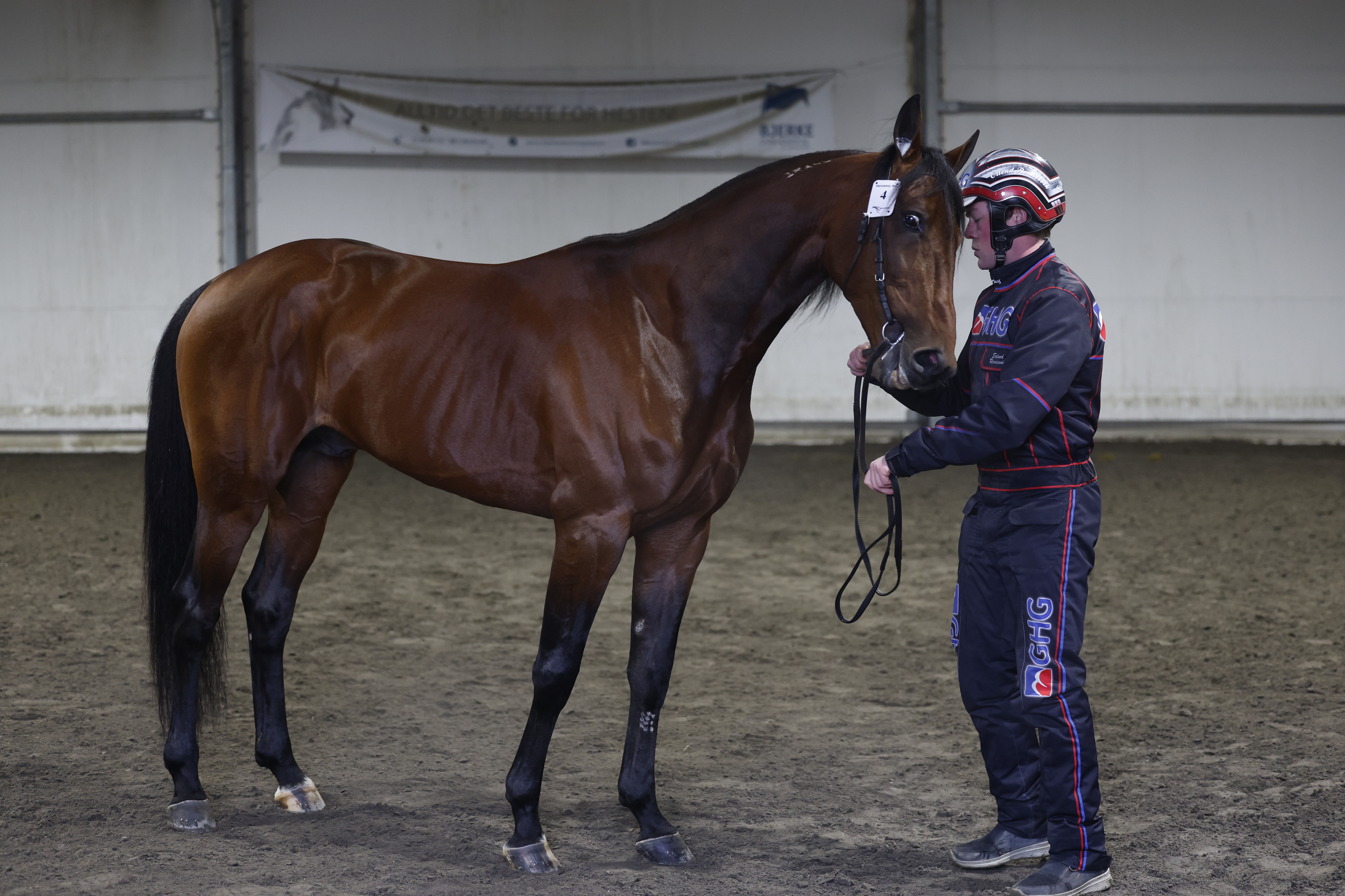 Hennessy Am_I3A7060.JPG