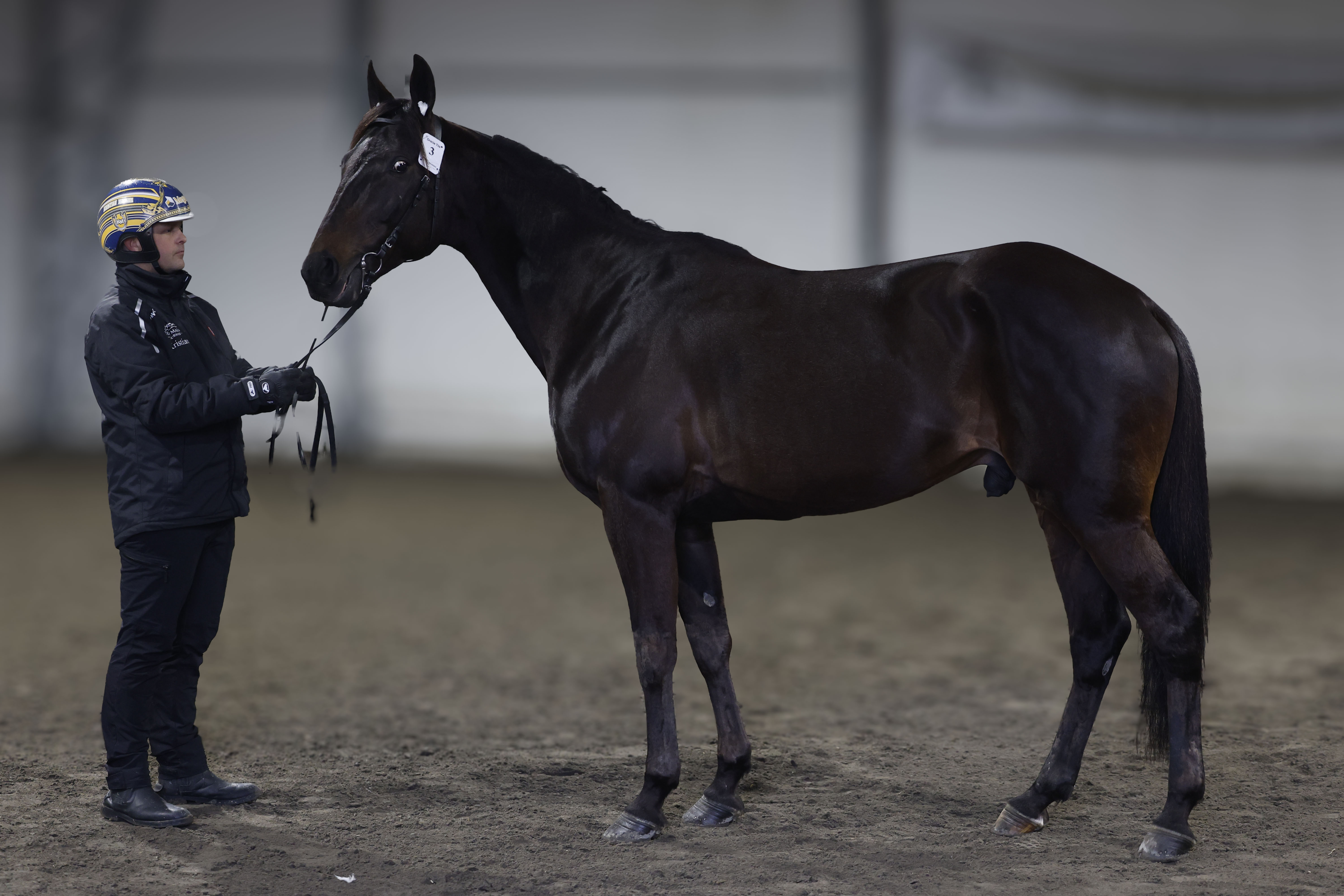 Oracle Tile_I3A7053.JPG