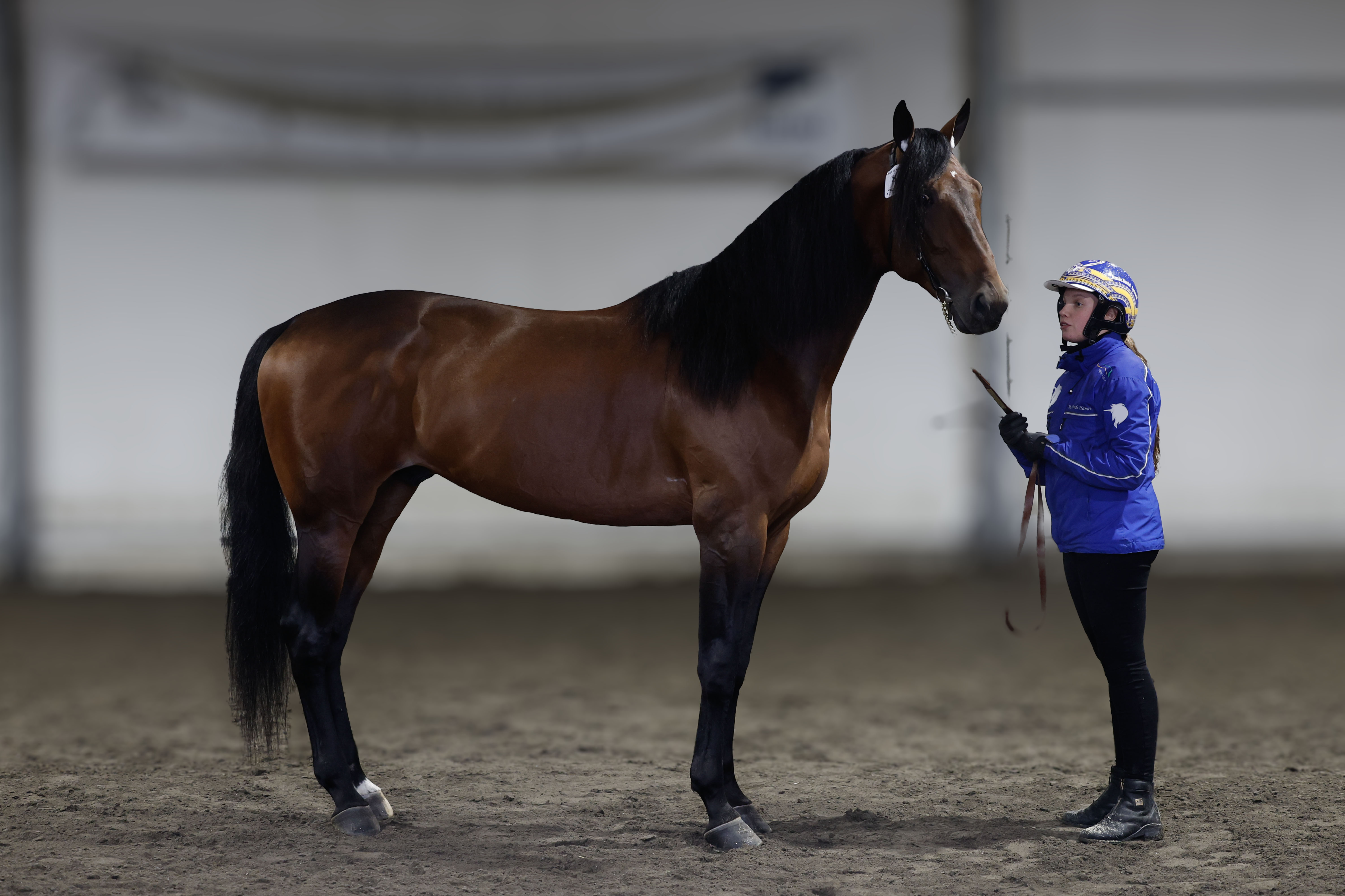 Wall Of Moni_I3A7118 kopi.jpg