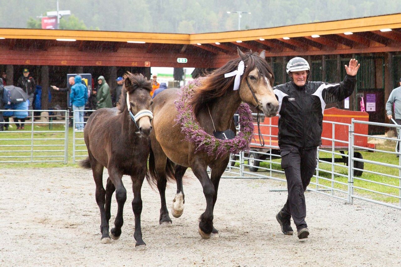 Heiki og Finnskog Oda.jpg