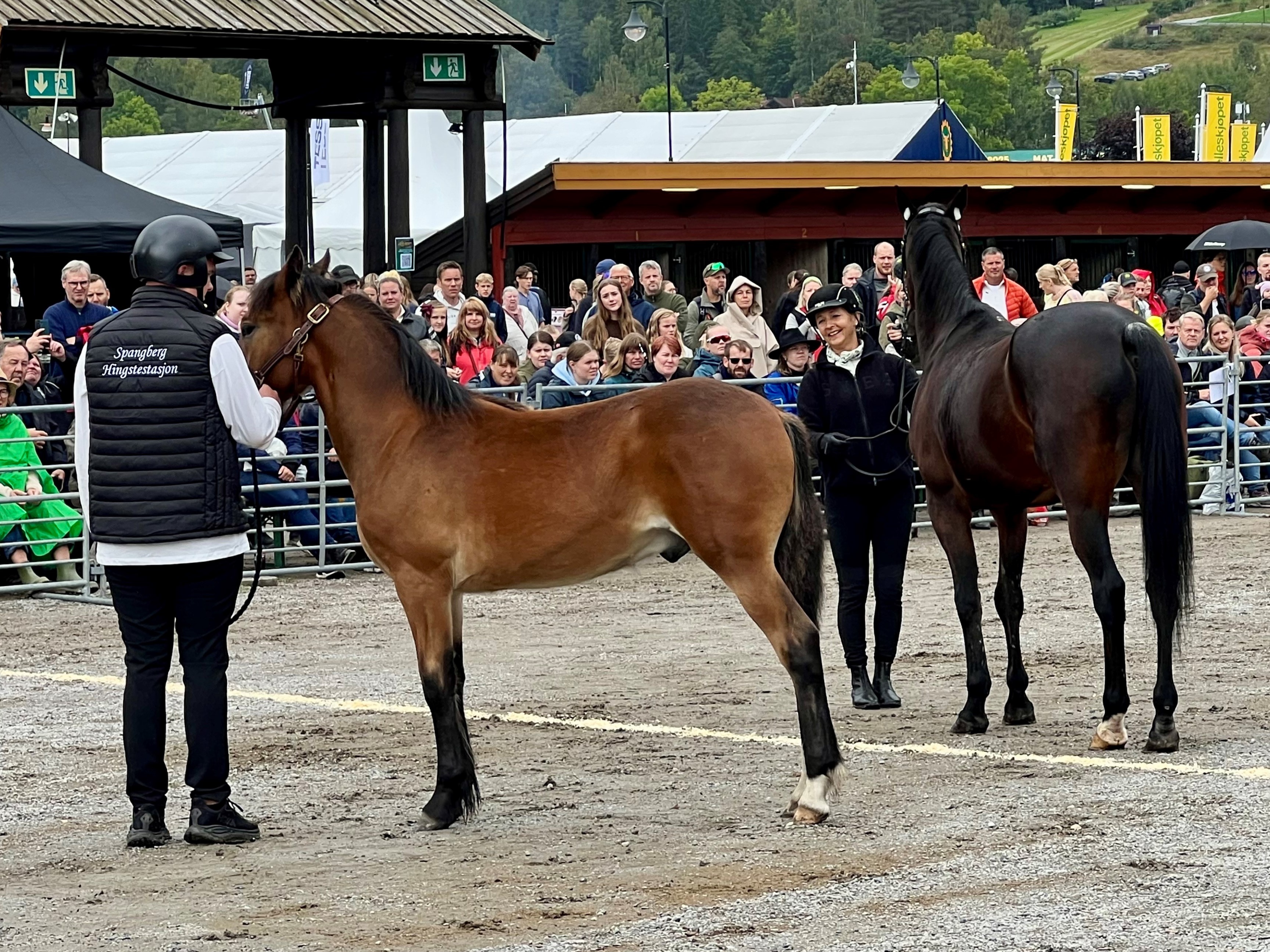 Spang Junior og Thai Tanic.jpg