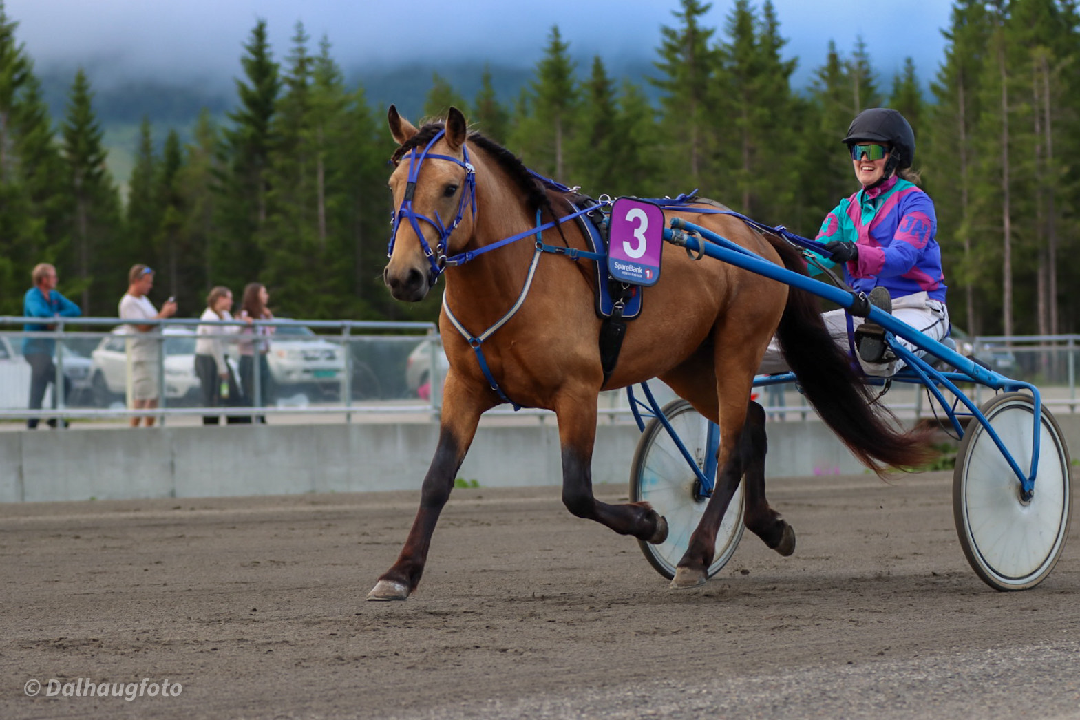 Julies Ville Romeo.jpeg