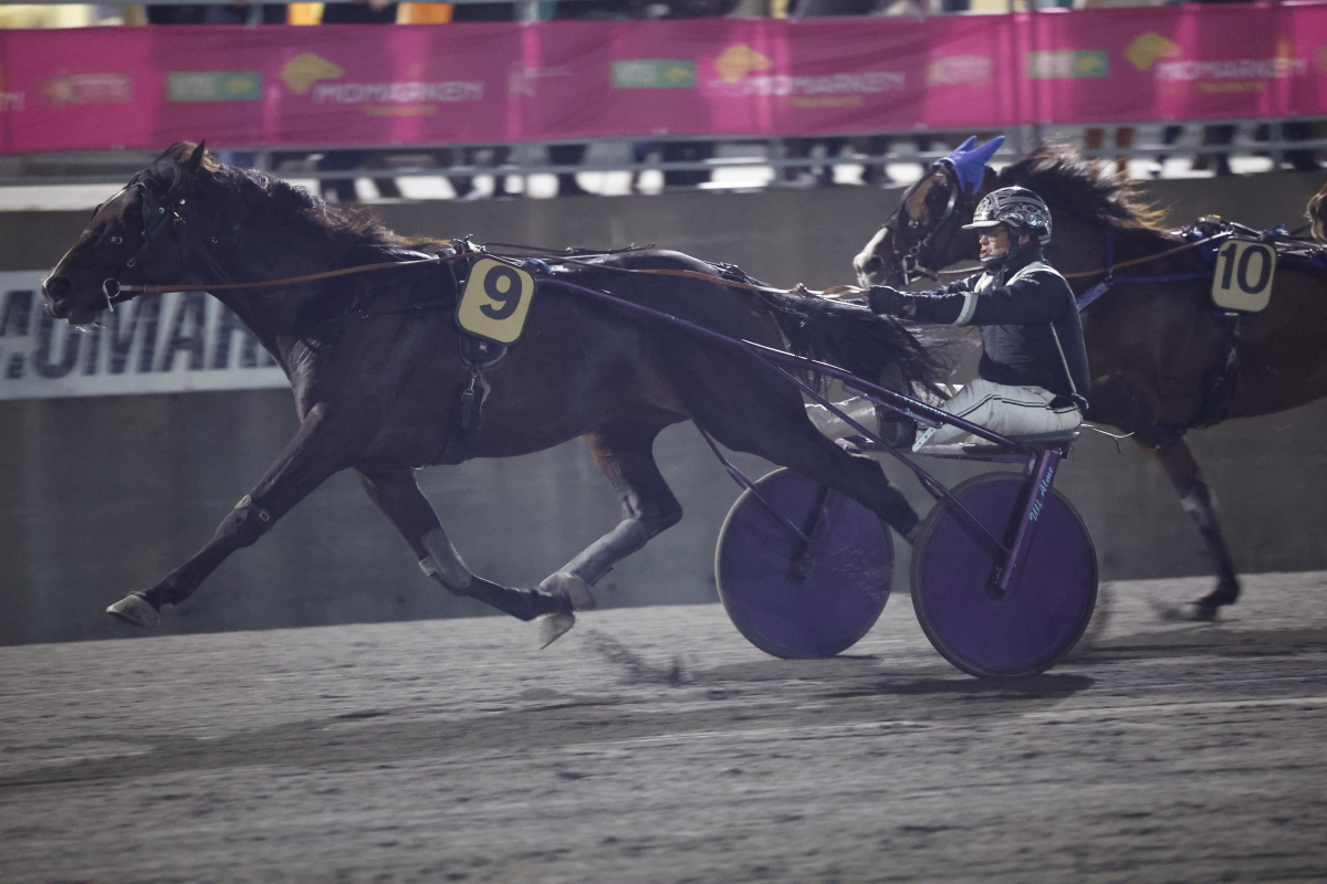 Kentucky Field_B8A8996.jpg