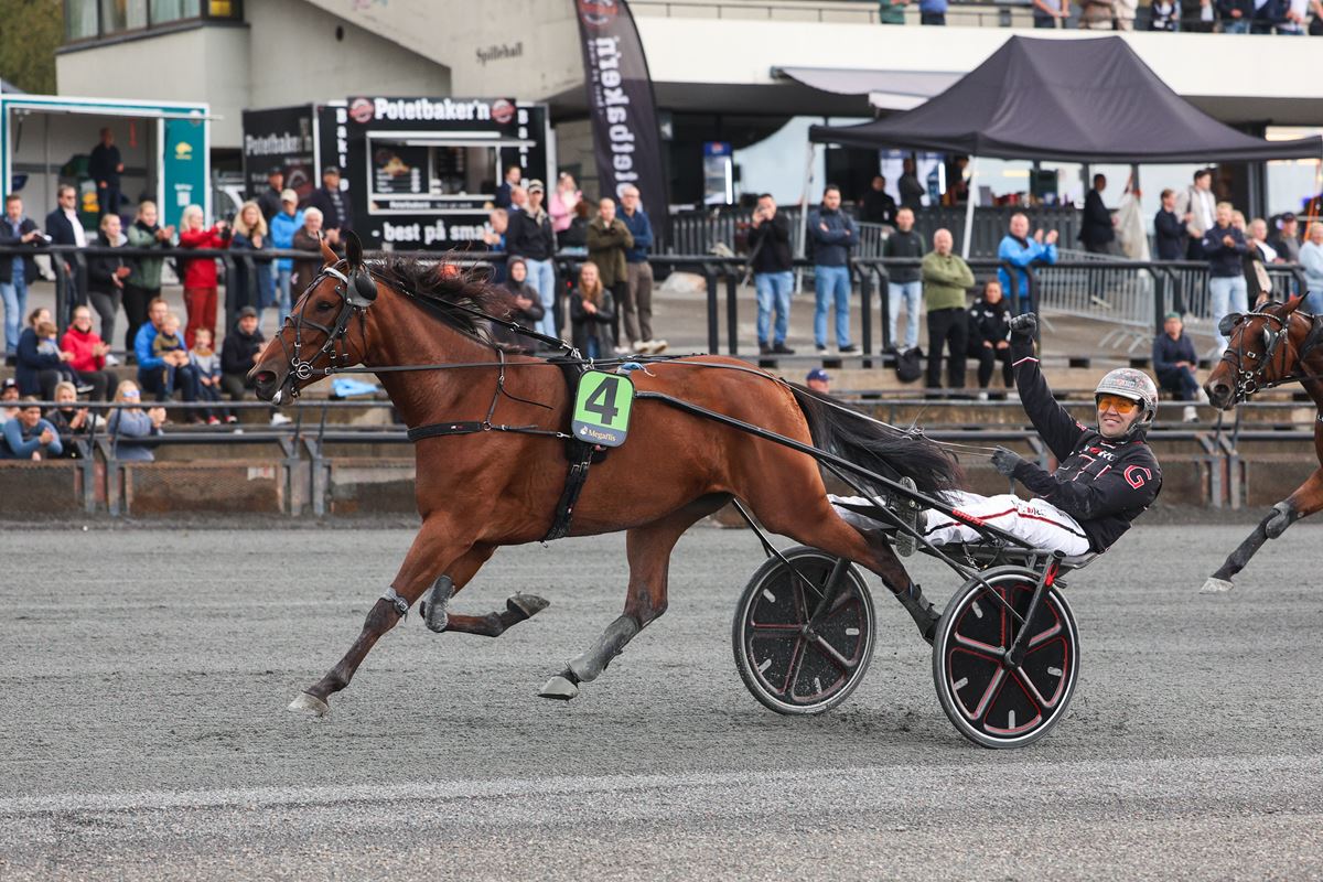 Skylight målpassering Hp-Derby.jpg