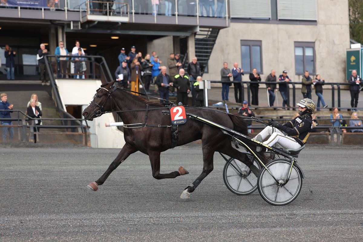 Tekla målpassering hp-krit.jpg