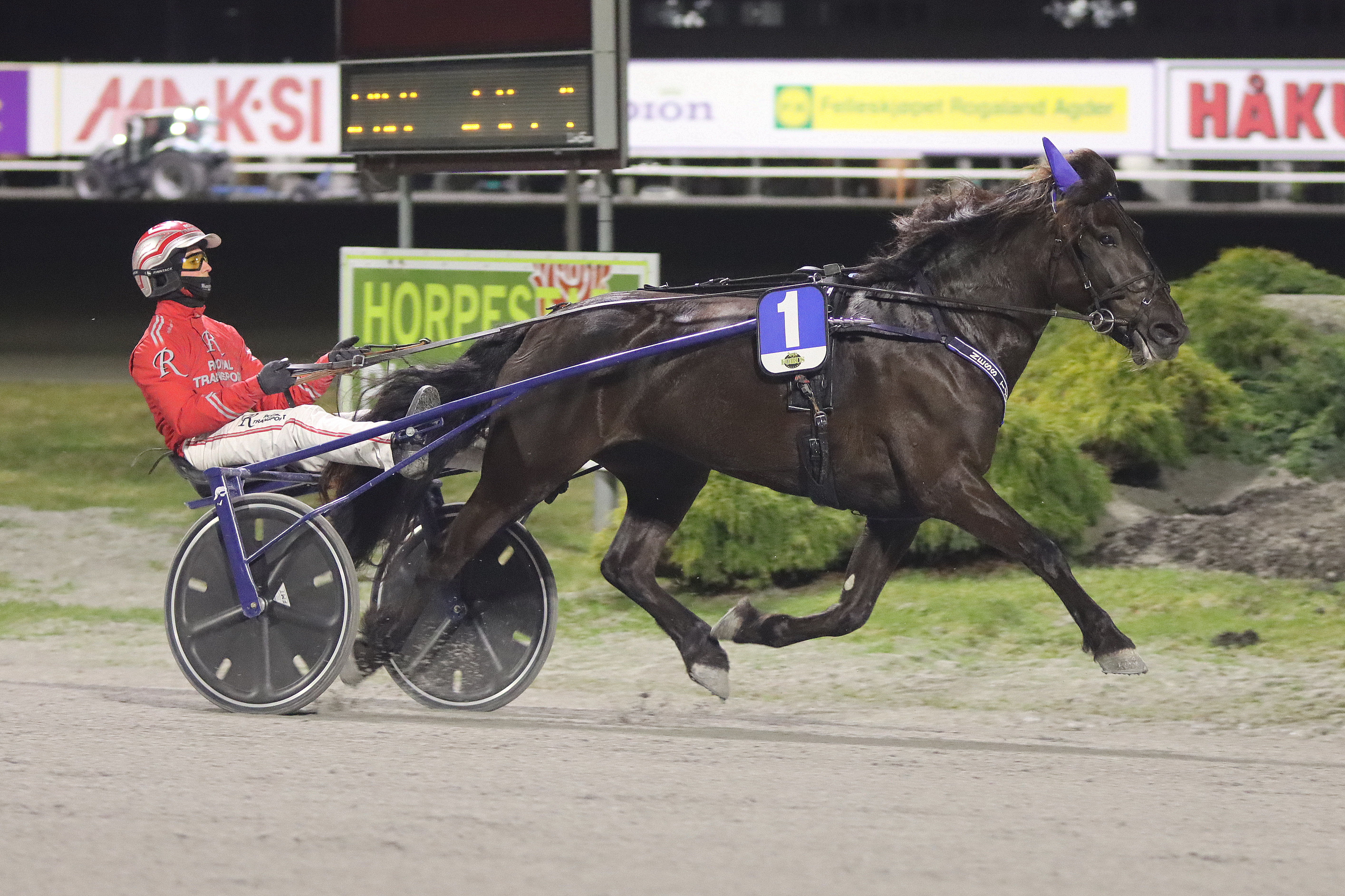 Prinsesse Ness Tjo_29.02.2024.JPG